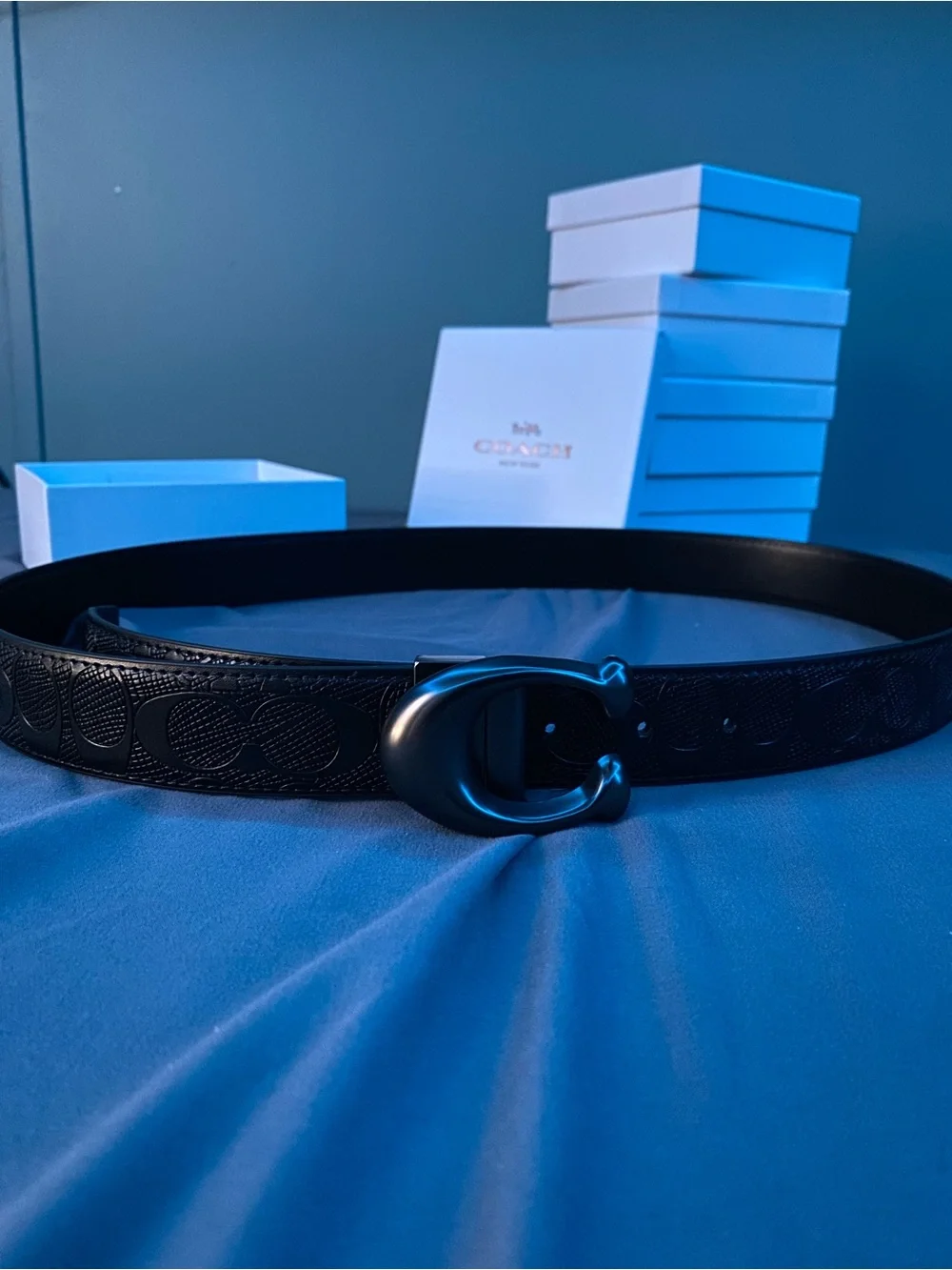 Coach Men's Black Belt with Matte C Buckle